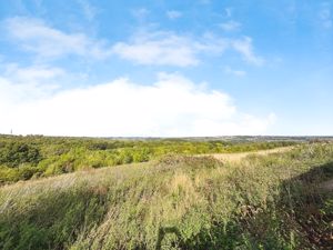 Photo 15- click for photo gallery